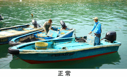 微信图片_20211012150547.gif