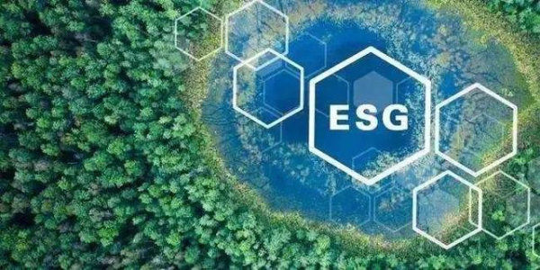 『ESG』一文梳理近年投资圈热爆概念