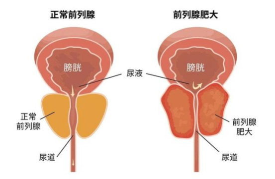 新闻源技术537.png