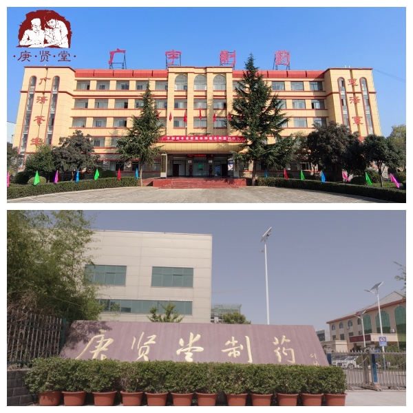 河南广宇集团董事长王广宇：深耕中医药产业，用创新撬动发展