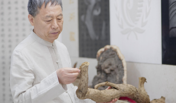 河南广宇集团董事长王广宇：深耕中医药产业，用创新撬动发展