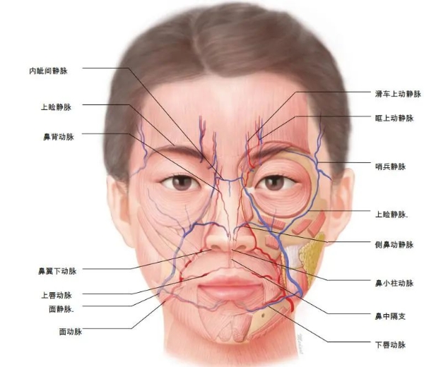 你还敢忽视木偶纹吗？广州军美王世虎教你巧妙解决！